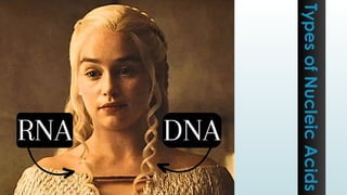 Types
of
Nucleic
Acids
 