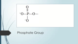 Phosphate Group
 