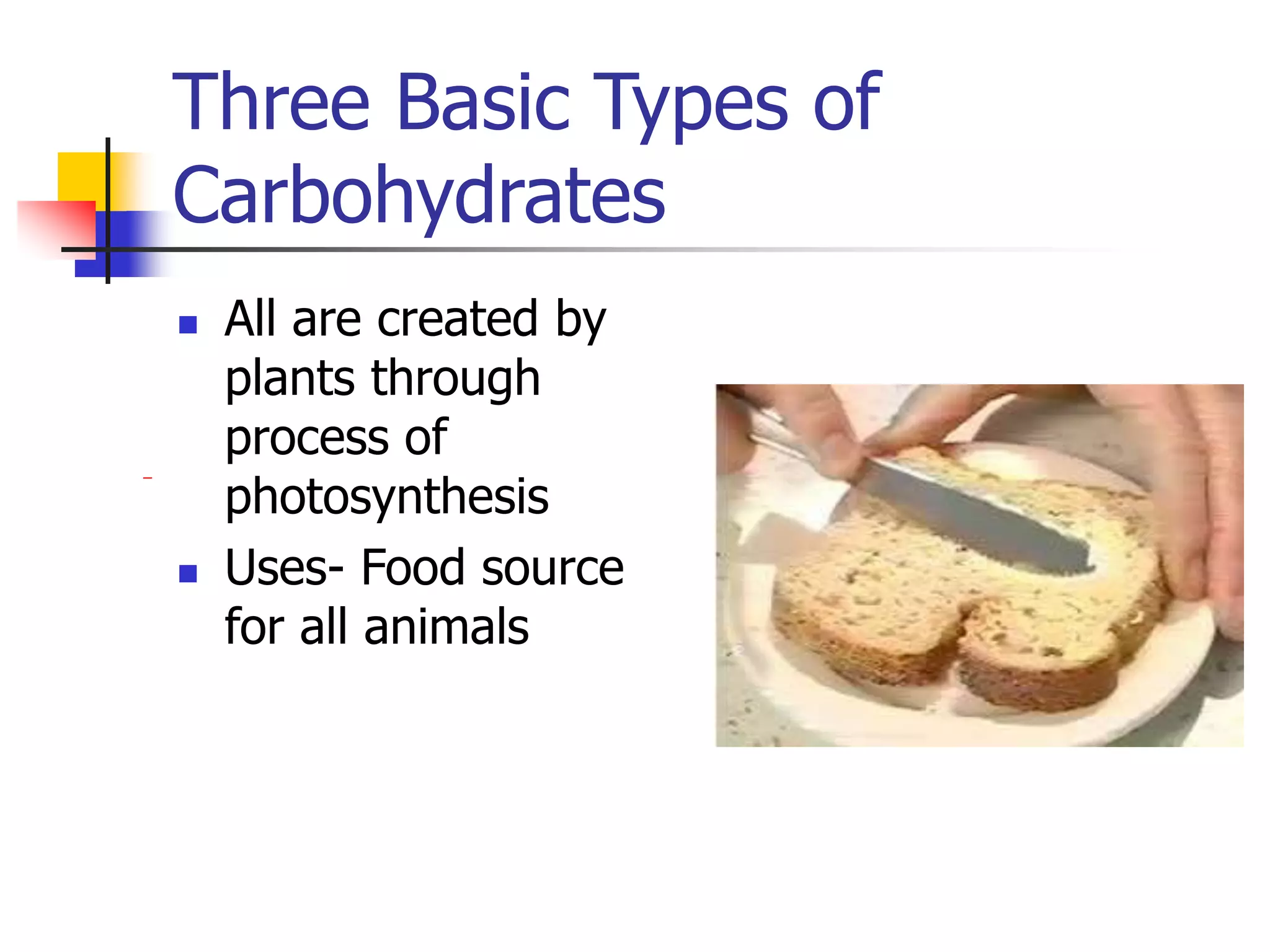 Three Basic Types of
Carbohydrates
 All are created by
plants through
process of
photosynthesis
 Uses- Food source
for all animals
 