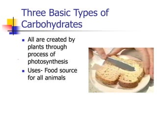 Three Basic Types of
Carbohydrates
 All are created by
plants through
process of
photosynthesis
 Uses- Food source
for all animals
 