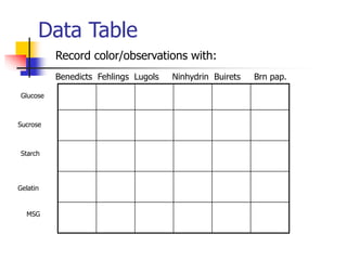Data Table
Record color/observations with:
Benedicts Fehlings Lugols Ninhydrin Buirets Brn pap.
Glucose
Sucrose
Starch
Gelatin
MSG
 