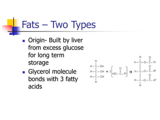 Fats – Two Types
 Origin- Built by liver
from excess glucose
for long term
storage
 Glycerol molecule
bonds with 3 fatty
acids
 