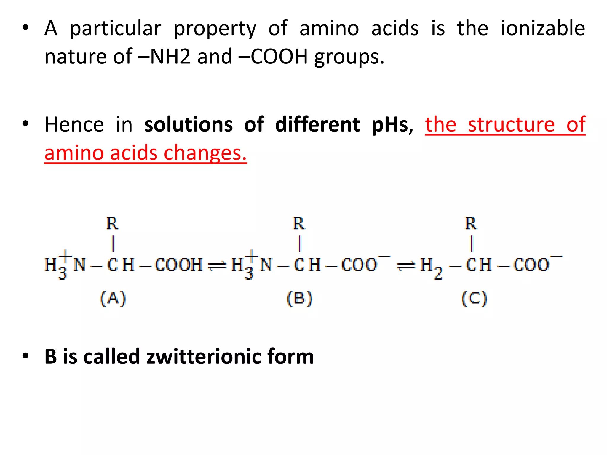 • A particular property of amino acids is the ionizable
nature of –NH2 and –COOH groups.
• Hence in solutions of different pHs, the structure of
amino acids changes.
• B is called zwitterionic form
 