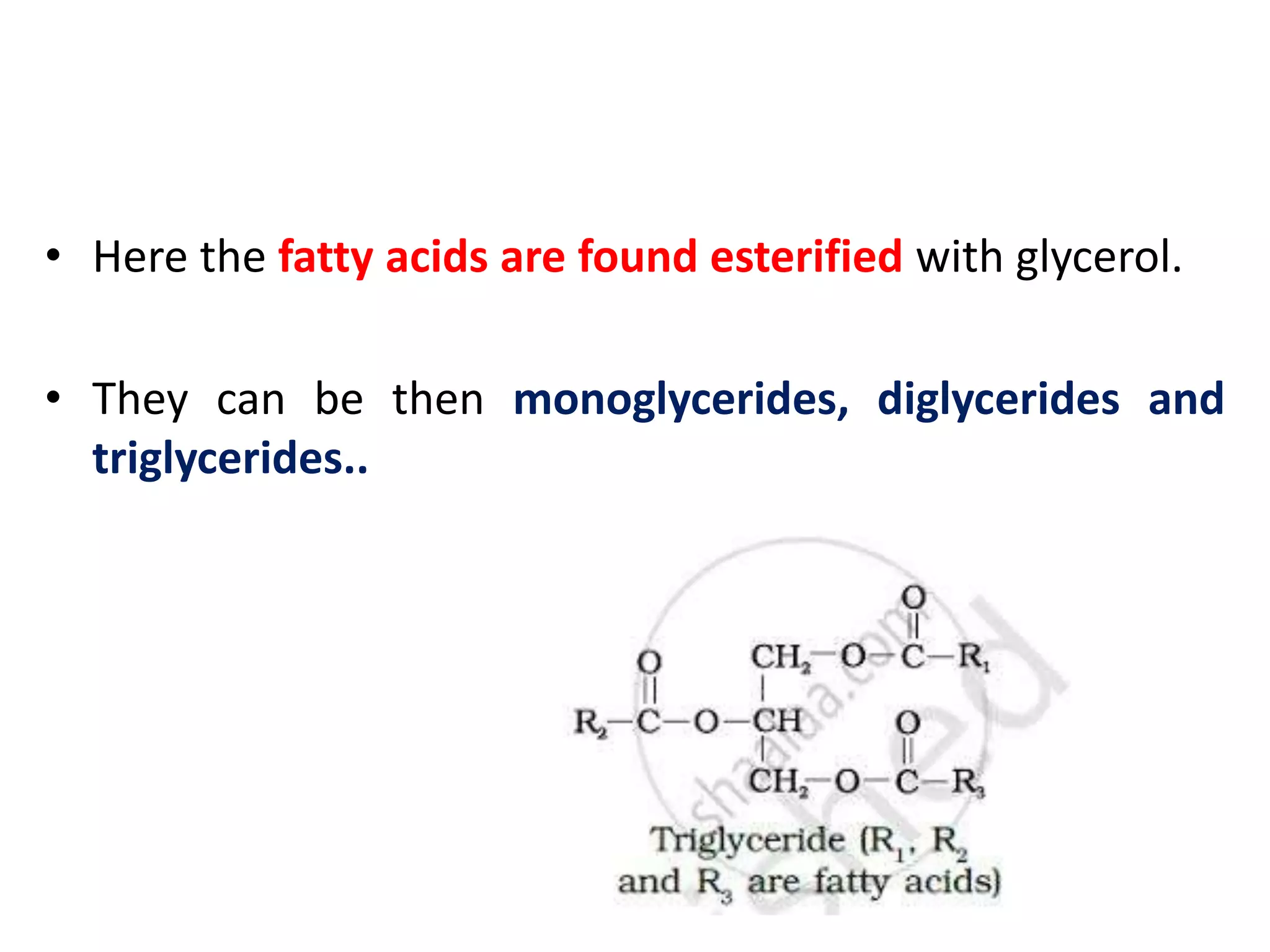 • Here the fatty acids are found esterified with glycerol.
• They can be then monoglycerides, diglycerides and
triglycerides..
 