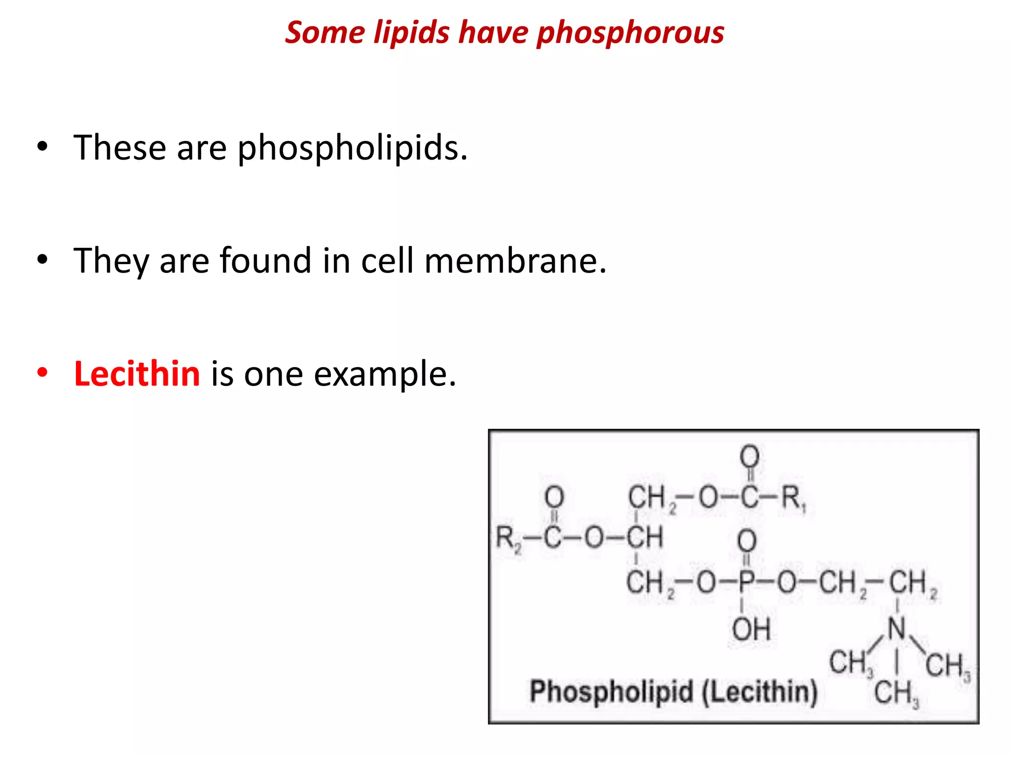Some lipids have phosphorous
• These are phospholipids.
• They are found in cell membrane.
• Lecithin is one example.
 