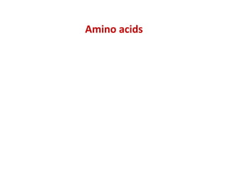 Amino acids
 