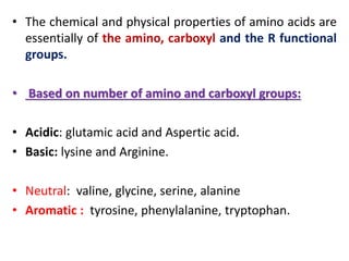 • The chemical and physical properties of amino acids are
essentially of the amino, carboxyl and the R functional
groups.
• Based on number of amino and carboxyl groups:
• Acidic: glutamic acid and Aspertic acid.
• Basic: lysine and Arginine.
• Neutral: valine, glycine, serine, alanine
• Aromatic : tyrosine, phenylalanine, tryptophan.
 