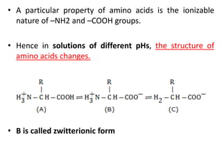 • A particular property of amino acids is the ionizable
nature of –NH2 and –COOH groups.
• Hence in solutions of different pHs, the structure of
amino acids changes.
• B is called zwitterionic form
 