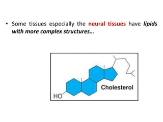 • Some tissues especially the neural tissues have lipids
with more complex structures…
 