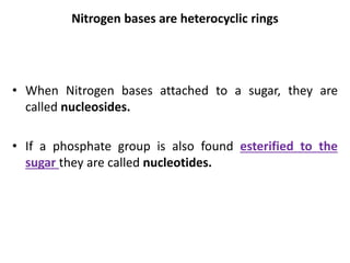Nitrogen bases are heterocyclic rings
• When Nitrogen bases attached to a sugar, they are
called nucleosides.
• If a phosphate group is also found esterified to the
sugar they are called nucleotides.
 