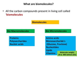 What are biomolecules?
• All the carbon compounds present in living cell called
‘biomolecules
Biomolecules
Bio Macromolecules Bio Micromolecules
Proteins
Polysaccharides
Nucleic acids
Amino acids
Monosaccharide's
(Glucose, Fructose)
Nucleotides
Lipids
Vitamins Molecular weight:
18 to 800 daltons (Da)
 