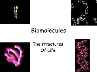 Biomolecules

The structures
   Of Life.
 
