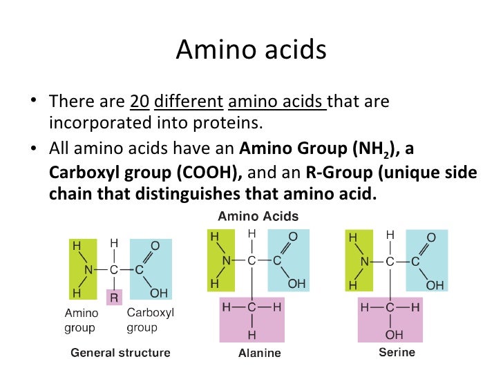 Biomolecules macromolecules