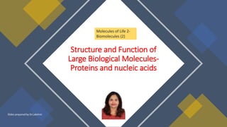 Slides prepared by Dr.Lakshmi
Structure and Function of
Large Biological Molecules-
Proteins and nucleic acids
Molecules of Life 2-
Biomolecules (2)
 