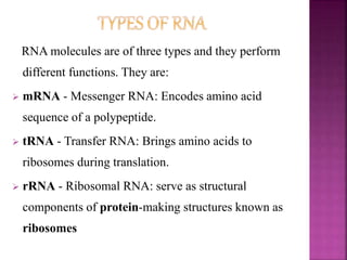 Types Of Rna Molecules BIOMOLECULES ppt- XII.pptx notes class 12 | PPTX