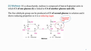 (ii) Maltose: It’s a disaccharide, maltose is composed of two α-D-glucose units in
31
which C1 of one glucose (I) is linked to C4 of another glucose unit (II).
The free aldehyde group can be produced at C1 of second glucose in solution and it
shows reducing properties so it is a reducing sugar.
Free anomeric
C, Reducing
sugar
 