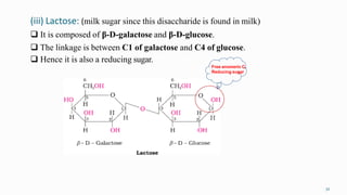 (iii) Lactose: (milk sugar since this disaccharide is found in milk)
32
 It is composed of β-D-galactose and β-D-glucose.
 The linkage is between C1 of galactose and C4 of glucose.
 Hence it is also a reducing sugar.
Free anomeric C,
Reducing sugar
 