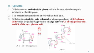 II. Cellulose
38
1. Cellulose occurs exclusively in plants and it is the most abundant organic
substance in plant kingdom.
2. It’s a predominant constituent of cell wall of plant cells.
3. Cellulose is a straight chain polysaccharide composed only of β-D-glucose
units which are joined by glycosidic linkage between C1 of one glucose unit
and C4 of the next glucose unit.
C1
C4
 