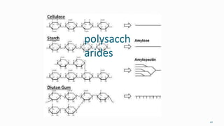 polysacch
arides
40
 