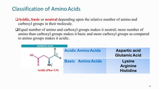 Classification of AminoAcids
46
Acidic, basic or neutral depending upon the relative number of amino and
carboxyl groups in their molecule.
Equal number of amino and carboxyl groups makes it neutral; more number of
amino than carboxyl groups makes it basic and more carboxyl groups as compared
to amino groups makes it acidic.
Acidic AminoAcids Aspartic acid
GlutamicAcid
Basic Amino Acids Lysine
Arginine
Histidine
Acidic (Pka=3.9)
 