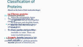 Classification of
Proteins
(b) Globularproteins
1. This structure results when the
chains of
 polypeptides coil around to give a
spherical shape.
2. These are usually soluble in Water.
 Example: Insulin and albumins are
common examples of globular proteins
53
(Based on the basis of their molecularshape)
(a) Fibrous proteins
1. When the polypeptide chains
run parallel and are held together
by hydrogen and disulfide bonds,
then the fiber-like structure is
formed.
2. These proteins are generally
insoluble in water. These are
water-insoluble proteins.
Example: keratin (present in hair,
wool, and silk)
myosin (present in muscles), etc.
 