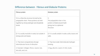 Difference between Fibrous and Globular Proteins
54
 