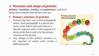  Structure and shape of proteins
primary, secondary, tertiary and quaternary, each level
being more complex than the previous one.
1. Primary structure of proteins:
i. Proteins may have one or more polypeptide
chains. Each polypeptide in a protein has
amino acids linked with each other in a
specific sequence and it is this sequence of
amino acids that is said to be the primary
structure of that protein.
ii. Any change in this primary structure i.e.,
the sequence of amino acids creates a
different protein.
55
 
