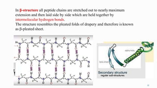 In β-structure all peptide chains are stretched out to nearly maximum
extension and then laid side by side which are held together by
intermolecular hydrogen bonds.
The structure resembles the pleated folds of drapery and therefore is known
as β-pleated sheet.
57
 