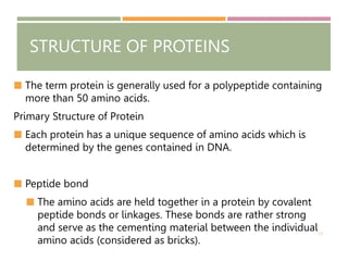 Protein Lesson Biomolecules Proteins and Amino Acids.pptx