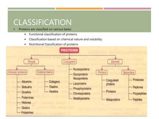 Biomolecules Proteins and Amino Acids.pptx | Chemistry | Science