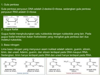Biomolekul dan aplikasi.ppt