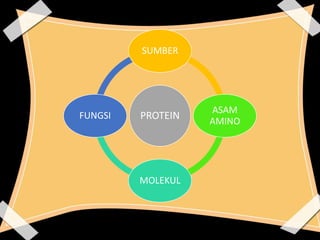 PROTEIN
SUMBER
ASAM
AMINO
MOLEKUL
FUNGSI
 