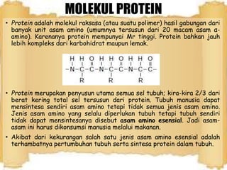 MOLEKUL PROTEIN
• Protein adalah molekul raksasa (atau suatu polimer) hasil gabungan dari
banyak unit asam amino (umumnya tersusun dari 20 macam asam α-
amino). Karenanya protein mempunyai Mr tinggi. Protein bahkan jauh
lebih kompleks dari karbohidrat maupun lemak.
• Protein merupakan penyusun utama semua sel tubuh; kira-kira 2/3 dari
berat kering total sel tersusun dari protein. Tubuh manusia dapat
mensintesa sendiri asam amino tetapi tidak semua jenis asam amino.
Jenis asam amino yang selalu diperlukan tubuh tetapi tubuh sendiri
tidak dapat mensintesanya disebut asam amino esensial. Jadi asam-
asam ini harus dikonsumsi manusia melalui makanan.
• Akibat dari kekurangan salah satu jenis asam amino esensial adalah
terhambatnya pertumbuhan tubuh serta sintesa protein dalam tubuh.
 