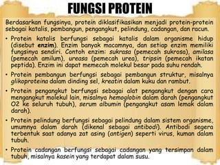 FUNGSI PROTEIN
Berdasarkan fungsinya, protein diklasifikasikan menjadi protein-protein
sebagai katalis, pembangun, pengangkut, pelindung, cadangan, dan racun.
• Protein katalis berfungsi sebagai katalis dalam organisme hidup
(disebut enzim). Enzim banyak macamnya, dan setiap enzim memiliki
fungsinya sendiri. Contoh enzim: sukrasa (pemecah sukrosa), amilasa
(pemecah amilum), ureasa (pemecah urea), tripsin (pemecah ikatan
peptida). Enzim ini dapat memecah molekul besar pada suhu rendah.
• Protein pembangun berfungsi sebagai pembangun struktur, misalnya
glikoproteina dalam dinding sel, kreatin dalam kuku dan rambut.
• Protein pengangkut berfungsi sebagai alat pengangkut dengan cara
mengangkut molekul lain, misalnya hemoglobin dalam darah (pengangkut
O2 ke seluruh tubuh), serum albumin (pengangkut asam lemak dalam
darah).
• Protein pelindung berfungsi sebagai pelindung dalam sistem organisme,
umumnya dalam darah (dikenal sebagai antibodi). Antibodi segera
terbentuk saat adanya zat asing (antigen) seperti virus, kuman dalam
tubuh.
• Protein cadangan berfungsi sebagai cadangan yang tersimpan dalam
tubuh, misalnya kasein yang terdapat dalam susu.
 