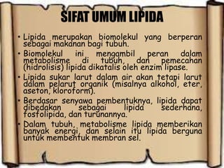 SIFAT UMUM LIPIDA
• Lipida merupakan biomolekul yang berperan
sebagai makanan bagi tubuh.
• Biomolekul ini mengambil peran dalam
metabolisme di tubuh, dan pemecahan
(hidrolisis) lipida dikatalis oleh enzim lipase.
• Lipida sukar larut dalam air akan tetapi larut
dalam pelarut organik (misalnya alkohol, eter,
aseton, kloroform).
• Berdasar senyawa pembentuknya, lipida dapat
dibedakan sebagai lipida sederhana,
fosfolipida, dan turunannya.
• Dalam tubuh, metabolisme lipida memberikan
banyak energi, dan selain itu lipida berguna
untuk membentuk membran sel.
 