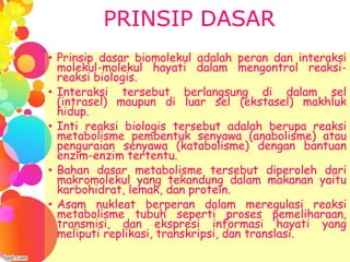 PRINSIP DASAR
• Prinsip dasar biomolekul adalah peran dan interaksi
molekul-molekul hayati dalam mengontrol reaksi-
reaksi biologis.
• Interaksi tersebut berlangsung di dalam sel
(intrasel) maupun di luar sel (ekstasel) makhluk
hidup.
• Inti reaksi biologis tersebut adalah berupa reaksi
metabolisme pembentuk senyawa (anabolisme) atau
penguraian senyawa (katabolisme) dengan bantuan
enzim-enzim tertentu.
• Bahan dasar metabolisme tersebut diperoleh dari
makromolekul yang tekandung dalam makanan yaitu
karbohidrat, lemak, dan protein.
• Asam nukleat berperan dalam meregulasi reaksi
metabolisme tubuh seperti proses pemeliharaan,
transmisi, dan ekspresi informasi hayati yang
meliputi replikasi, transkripsi, dan translasi.
 