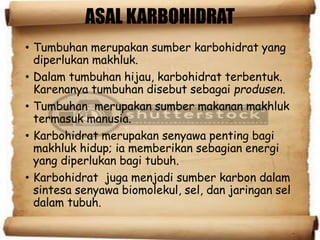 ASAL KARBOHIDRAT
• Tumbuhan merupakan sumber karbohidrat yang
diperlukan makhluk.
• Dalam tumbuhan hijau, karbohidrat terbentuk.
Karenanya tumbuhan disebut sebagai produsen.
• Tumbuhan merupakan sumber makanan makhluk
termasuk manusia.
• Karbohidrat merupakan senyawa penting bagi
makhluk hidup; ia memberikan sebagian energi
yang diperlukan bagi tubuh.
• Karbohidrat juga menjadi sumber karbon dalam
sintesa senyawa biomolekul, sel, dan jaringan sel
dalam tubuh.
 