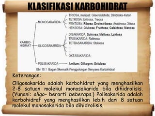 KLASIFIKASI KARBOHIDRAT
Keterangan:
Oligosakarida adalah karbohidrat yang menghasilkan
2-8 satuan molekul monosakarida bila dihidrolisis.
(Yunani: oligo- berarti beberapa.) Polisakarida adalah
karbohidrat yang menghasilkan lebih dari 8 satuan
molekul monosakarida bila dihidrolisis.
 