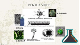 a. Polihidris
b.Batang
BENTUK VIRUS
d.Bola
c. Bentuk T
 
