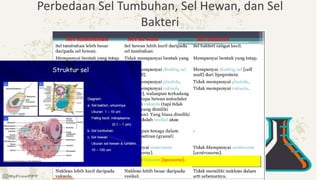 Perbedaan Sel Tumbuhan, Sel Hewan, dan Sel
Bakteri
 