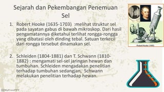 Sejarah dan Pekembangan Penemuan
Sel
1. Robert Hooke (1635-1703) :melihat struktur sel
pada sayatan gabus di bawah mikroskop. Dari hasil
pengamatannya diketahui terlihat rongga-rongga
yang dibatasi oleh dinding tebal. Satuan terkecil
dari rongga tersebut dinamakan sel.
2. Schleiden (1804-1881) dan T. Schwann (1810-
1882) : mengamati sel-sel jaringan hewan dan
tumbuhan. Schleiden mengadakan penelitian
terhadap tumbuhan sedangjan, Schwann
melakukan penelitian terhadap hewan.
 