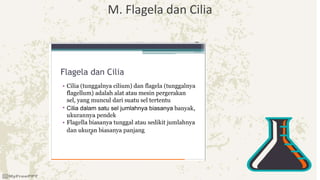 M. Flagela dan Cilia
 