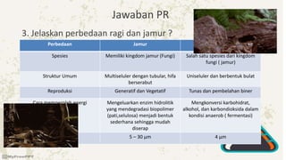 Jawaban PR
3. Jelaskan perbedaan ragi dan jamur ?
Perbedaan Jamur Ragi
Spesies Memiliki kingdom jamur (Fungi) Salah satu spesies dari kingdom
fungi ( jamur)
Struktur Umum Multiseluler dengan tubular, hifa
berserabut
Uniseluler dan berbentuk bulat
Reproduksi Generatif dan Vegetatif Tunas dan pembelahan biner
Cara memperoleh energi Mengeluarkan enzim hidrolitik
yang mendegradasi biopolimer
(pati,selulosa) menjadi bentuk
sederhana sehingga mudah
diserap
Mengkonversi karbohidrat,
alkohol, dan karbondioksida dalam
kondisi anaerob ( fermentasi)
Ukuran Sel 5 – 30 μm 4 μm
 