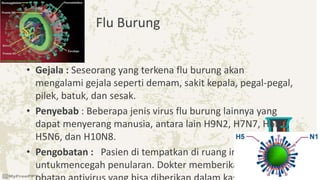 Flu Burung
• Gejala : Seseorang yang terkena flu burung akan
mengalami gejala seperti demam, sakit kepala, pegal-pegal,
pilek, batuk, dan sesak.
• Penyebab : Beberapa jenis virus flu burung lainnya yang
dapat menyerang manusia, antara lain H9N2, H7N7, H6N1,
H5N6, dan H10N8.
• Pengobatan : Pasien di tempatkan di ruang inkubasi
untukmencegah penularan. Dokter memberikan obat-
 