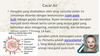 Cacar Air
• Penyakit yang disebabkan oleh virus varicella zoster ini
umumnya ditandai dengan kemunculan ruam pada
kulit sebagai gejala utamanya. Ruam tersebut akan berubah
menjadi bintil merah berisi cairan yang terasa gatal yang
kemudian akan mengering, menjadi koreng, dan terkelupas
dalam waktu 7 hingga 14 hari.
• Obat-obatan yang digunakan untuk menangani cacar air
biasanya ada dua jenis. Pertama adalah paracetamol untuk
menurunkan demam. Yang kedua adalah losion atau bedak
kalamin untuk mengurangi rasa gatal pada kulit.
 