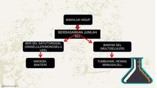 MAKHLUK HIDUP
BANYAK SEL
(MULTISELULER)
BER SEL SATU/TUNGGAL
(UNISELULER/MONOSELU
LER)
BERDASARKAN JUMLAH
SEL
AMOEBA,
BAKTERI
TUMBUHAN, HEWAN,
MANUSIA,DLL
 