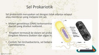 Sel Prokariotik
Sel prokariotik merupakan sel dengan tidak adanya selaput
atau membran yang melapisi inti sel.
• Materi genetiknya (DNA) terkonsentrasi pada suatu
daerah yang disebut nukleoid.
• Kingdom termasuk ke dalam sel prokariotik yaitu
Kingdom Monera (bakteri dan algae hijau – biru)
• Contoh: Sel Archaebacteria, sel beberapa jenis
Cyanobacteria.
 