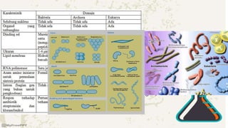 Jenis Sel Prokariotik
A. Eubacteria
– hidup di alam/lingkungan biasa : tanah, air dan
organisme lain yang lebih besar.
B. Archaebacteria
– hidup & tumbuh di lingkungan khusus, tidak
ditoleransi makhluk lain  bakteri metanogen,
halofil & termoasidofil.
 
