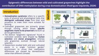Gene regulation in domestication of wild edible plants | PDF