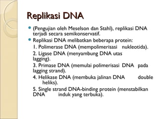 Replikasi DNAReplikasi DNA
(Pengujian oleh Meselson dan Stahl), replikasi DNA
terjadi secara semikonservatif.
Replikasi DNA melibatkan beberapa protein:
1. Polimerase DNA (mempolimerisasi nukleotida).
2. Ligase DNA (menyambung DNA utas
lagging).
3. Primase DNA (memulai polimerisasi DNA pada
lagging strand).
4. Helikase DNA (membuka jalinan DNA double
heliks).
5. Single strand DNA-binding protein (menstabilkan
DNA induk yang terbuka).
 